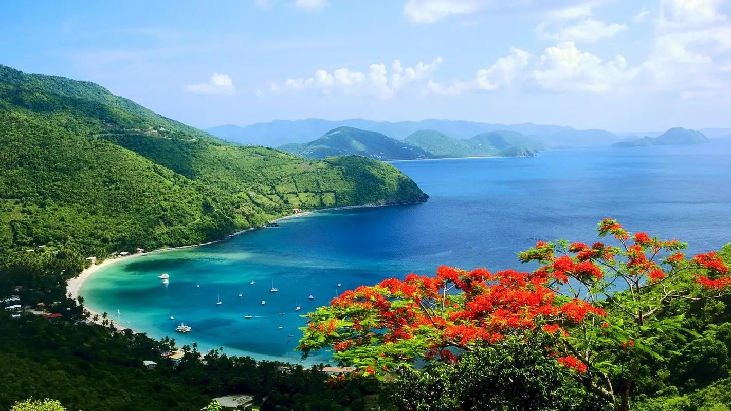 高标准高标准